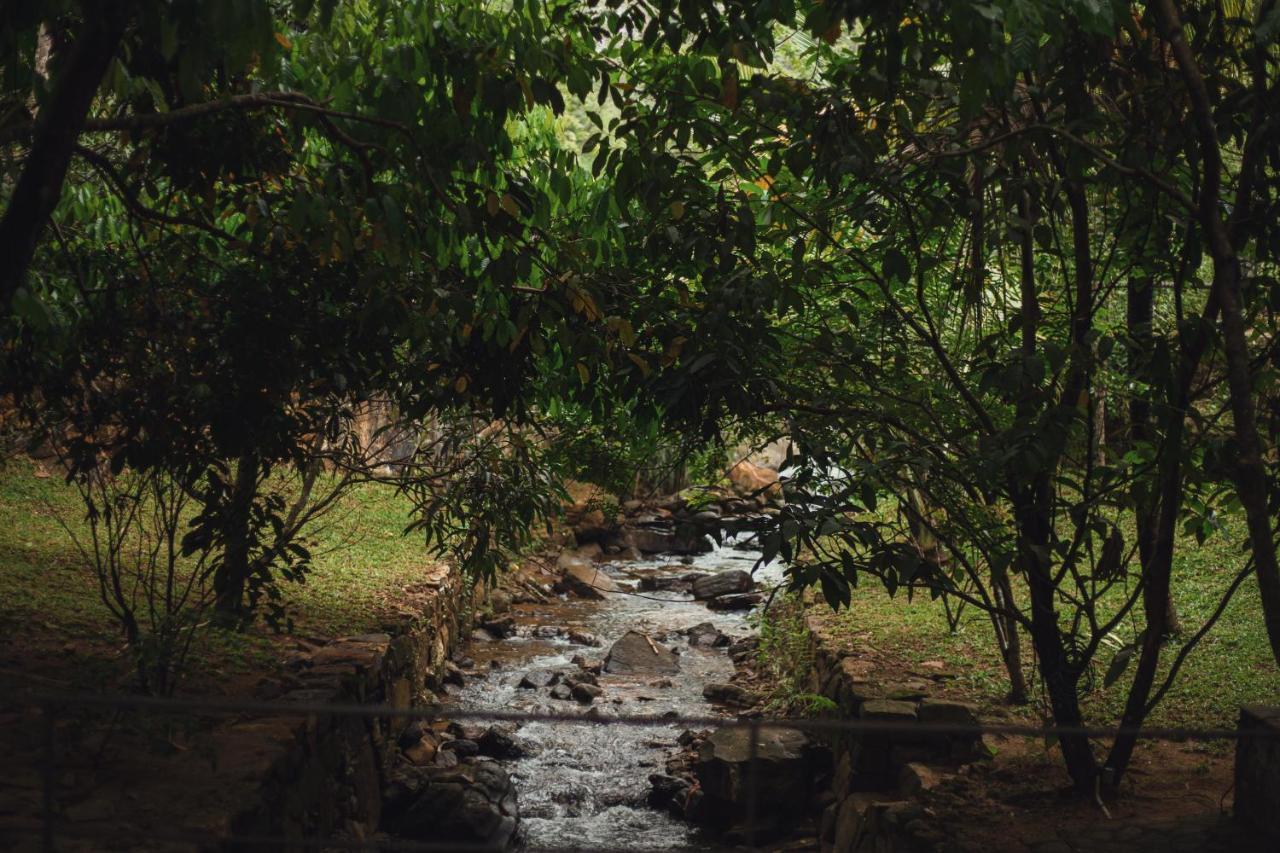Sati Villa Kandy Sri Lanka Екстериор снимка